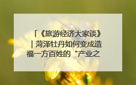 《旅游经济大家谈》｜菏泽牡丹如何变成造福一方百姓的“产业之花”“富民之花”？