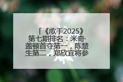 《歌手2025》第七期排名：米奇·盖顿首夺第一，陈楚生第二，郑欣宜将参加下一轮张榜赛