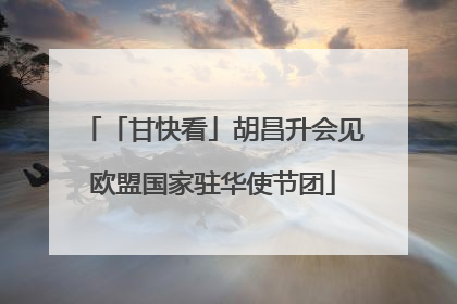 「甘快看」胡昌升会见欧盟国家驻华使节团