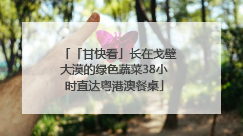 「甘快看」长在戈壁大漠的绿色蔬菜38小时直达粤港澳餐桌