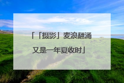 「摄影」麦浪翻涌 又是一年夏收时