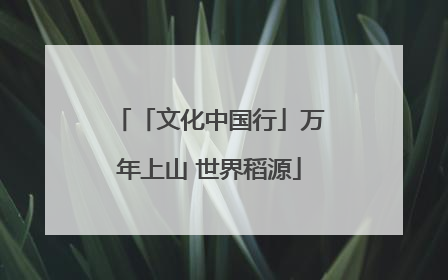 「文化中国行」万年上山 世界稻源