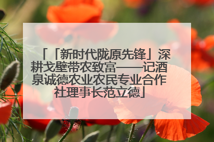 「新时代陇原先锋」深耕戈壁带农致富——记酒泉诚德农业农民专业合作社理事长范立德