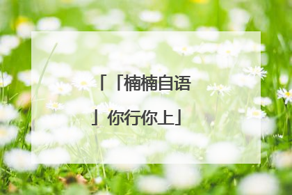 「楠楠自语」你行你上