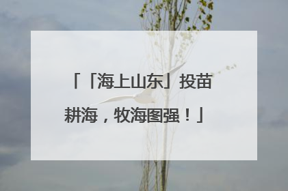 「海上山东」投苗耕海，牧海图强！