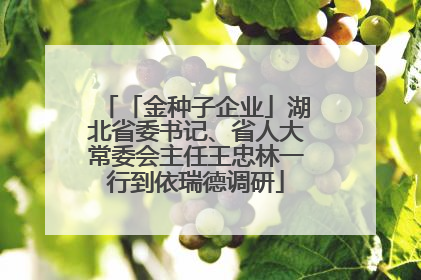 「金种子企业」湖北省委书记、省人大常委会主任王忠林一行到依瑞德调研