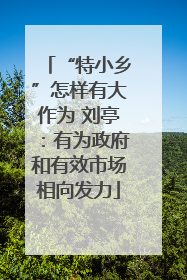 “特小乡”怎样有大作为 刘亭：有为政府和有效市场相向发力
