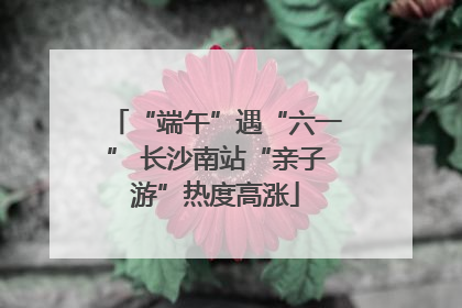 “端午”遇“六一” 长沙南站“亲子游”热度高涨