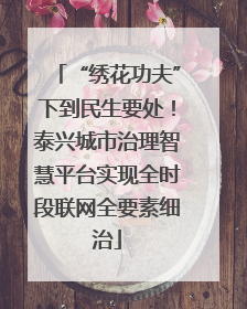 “绣花功夫”下到民生要处！泰兴城市治理智慧平台实现全时段联网全要素细治