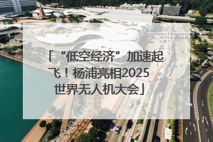 “低空经济”加速起飞！杨浦亮相2025世界无人机大会