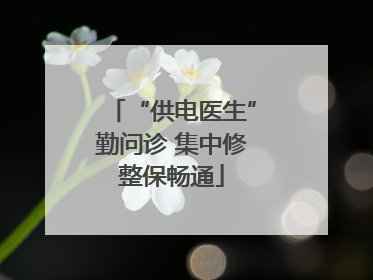“供电医生”勤问诊 集中修整保畅通