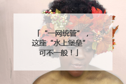 “一网统管”，这座“水上堡垒”可不一般！