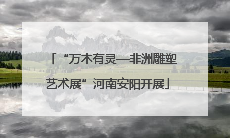 “万木有灵—非洲雕塑艺术展”河南安阳开展