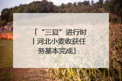 “三夏”进行时丨河北小麦收获任务基本完成