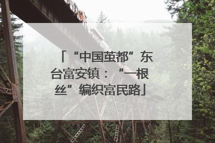 “中国茧都”东台富安镇：“一根丝”编织富民路