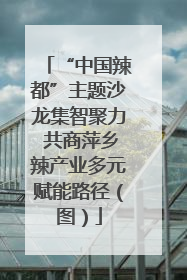 “中国辣都”主题沙龙集智聚力 共商萍乡辣产业多元赋能路径（图）