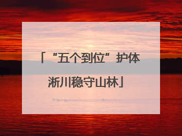 “五个到位”护体 淅川稳守山林