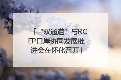 “双通道”与RCEP口岸协同发展推进会在怀化召开