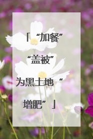 “加餐”“盖被” 为黑土地“增肥”