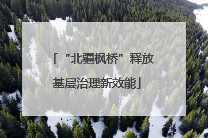 “北疆枫桥”释放基层治理新效能