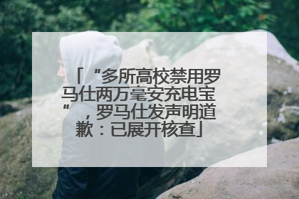 “多所高校禁用罗马仕两万毫安充电宝”，罗马仕发声明道歉：已展开核查
