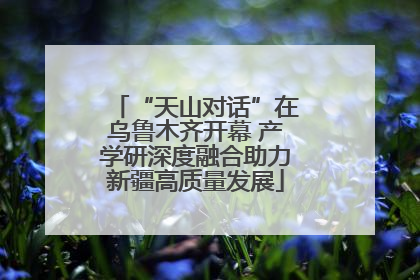 “天山对话”在乌鲁木齐开幕 产学研深度融合助力新疆高质量发展