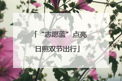 “志愿蓝”点亮日照双节出行