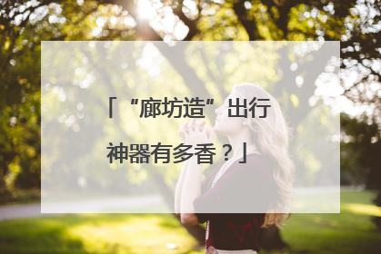 “廊坊造”出行神器有多香？