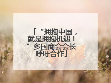 “拥抱中国，就是拥抱机遇！”多国商会会长呼吁合作