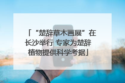 “楚辞草木画展”在长沙举行 专家为楚辞植物提供科学考据