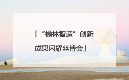 “榆林智造”创新成果闪耀丝博会