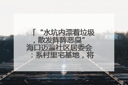 “水坑内漂着垃圾，散发阵阵恶臭” 海口迈瀛社区居委会：系村里宅基地，将派人打捞垃圾