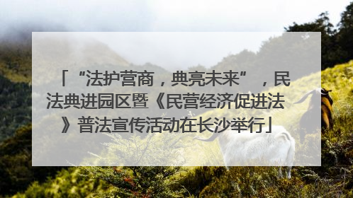 “法护营商，典亮未来”，民法典进园区暨《民营经济促进法》普法宣传活动在长沙举行