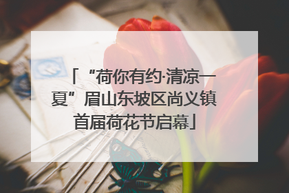 “荷你有约·清凉一夏”眉山东坡区尚义镇首届荷花节启幕