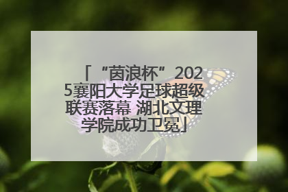 “茵浪杯”2025襄阳大学足球超级联赛落幕 湖北文理学院成功卫冕