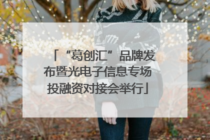 “葛创汇”品牌发布暨光电子信息专场投融资对接会举行