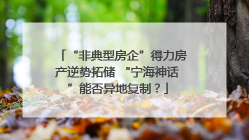 “非典型房企”得力房产逆势拓储 “宁海神话”能否异地复制？