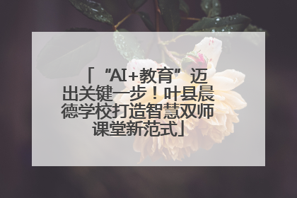 “AI+教育”迈出关键一步！叶县晨德学校打造智慧双师课堂新范式