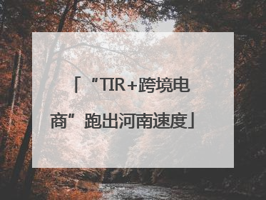 “TIR+跨境电商”跑出河南速度