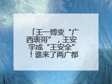 王一博变“广西表哥”，王安宇成“王安全”！谁来了两广都得“腌入味”
