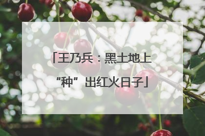 王乃兵：黑土地上“种”出红火日子
