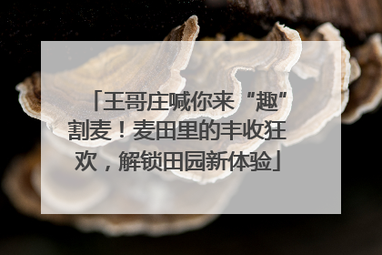 王哥庄喊你来“趣”割麦！麦田里的丰收狂欢，解锁田园新体验