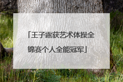 王子露获艺术体操全锦赛个人全能冠军