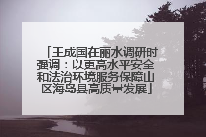 王成国在丽水调研时强调：以更高水平安全和法治环境服务保障山区海岛县高质量发展