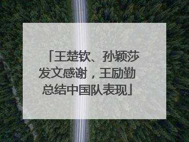 王楚钦、孙颖莎发文感谢，王励勤总结中国队表现