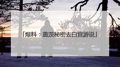 爆料：盖茨秘密去白宫游说