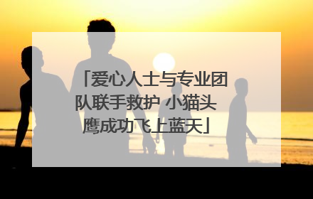爱心人士与专业团队联手救护 小猫头鹰成功飞上蓝天
