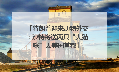 特朗普迎来动物外交：沙特将送两只“大猫咪”去美国首都