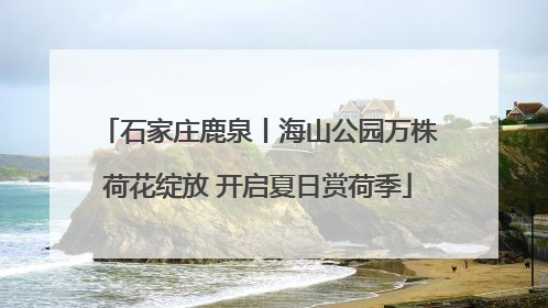 石家庄鹿泉丨海山公园万株荷花绽放 开启夏日赏荷季