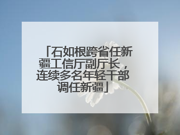 石如根跨省任新疆工信厅副厅长，连续多名年轻干部调任新疆